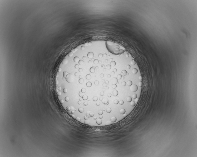 X0000111510755200908111308