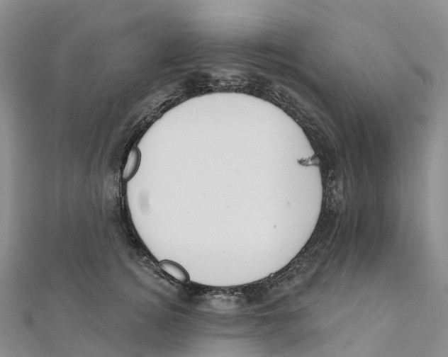 X0000111510756200908111308