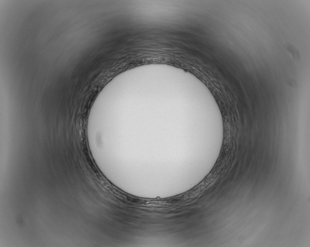 X0000111510758200908111309