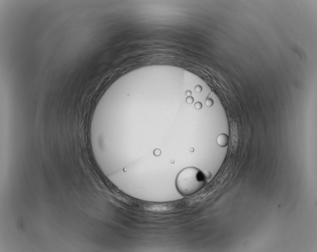 X0000111510759200908111309