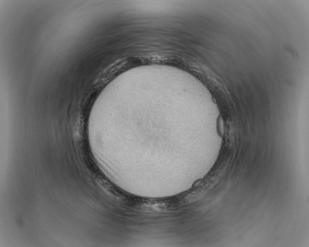 X0000111510760200908111309