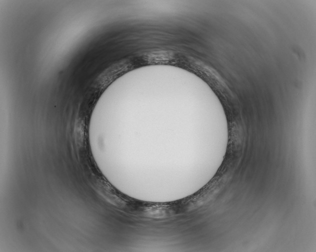 X0000111510761200908111309
