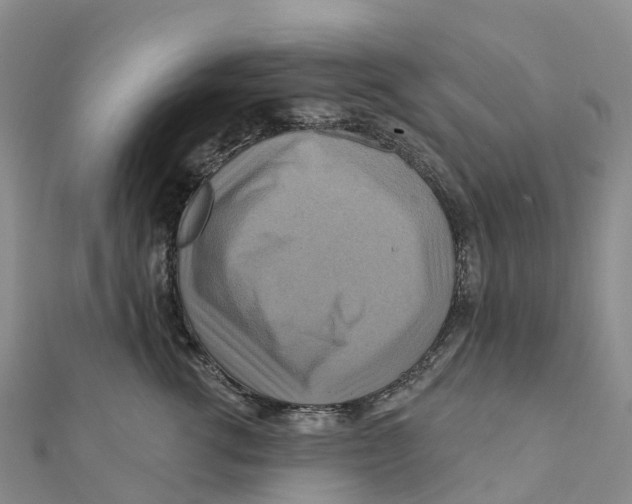 X0000111510762200908111309