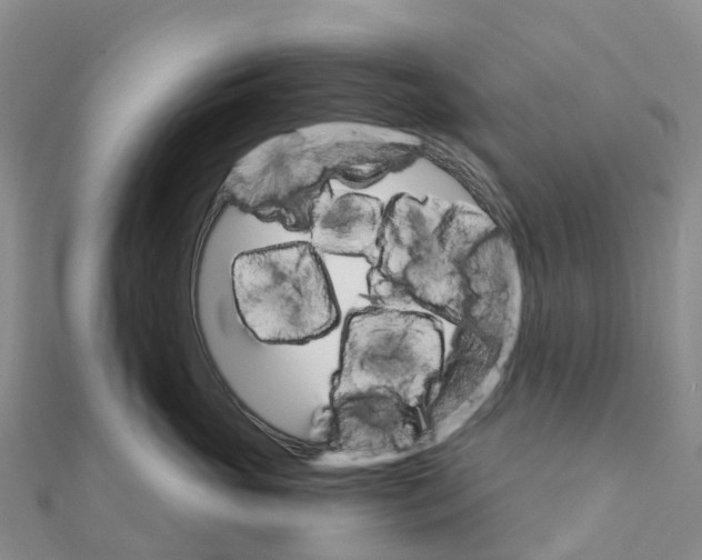 X0000111510765200908111309