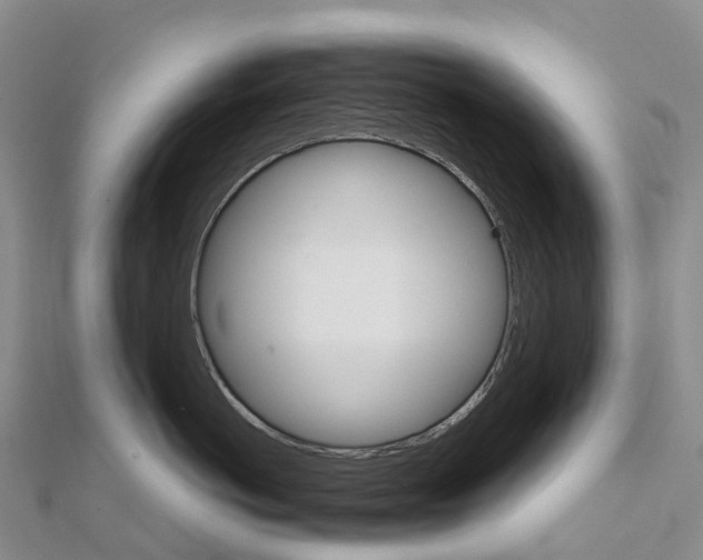 X0000111510766200908111309