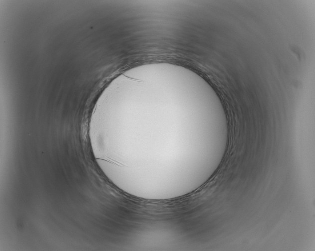 X0000111510768200908111309