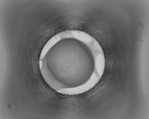 X0000111510769200908111308
