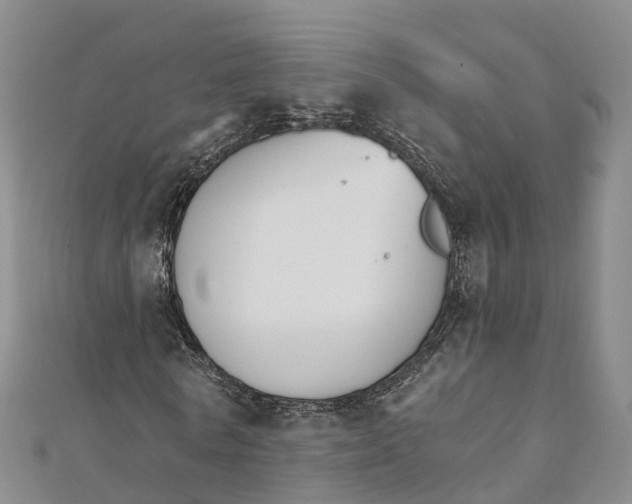 X0000111510770200908111308