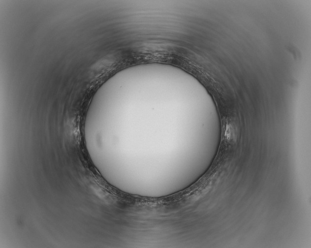 X0000111510771200908111308