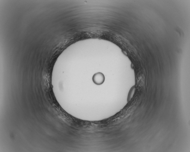 X0000111510772200908111308