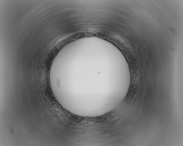 X0000111510773200908111308