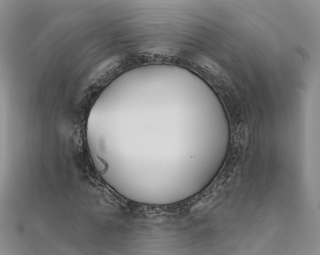 X0000111510774200908111308