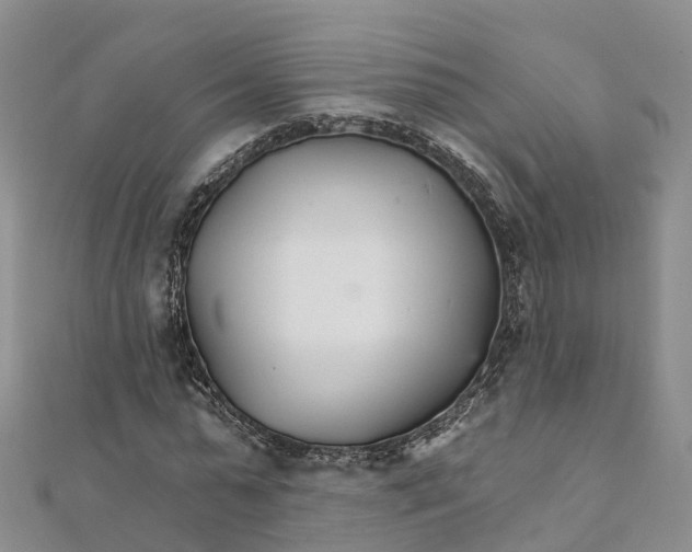 X0000111510775200908111308