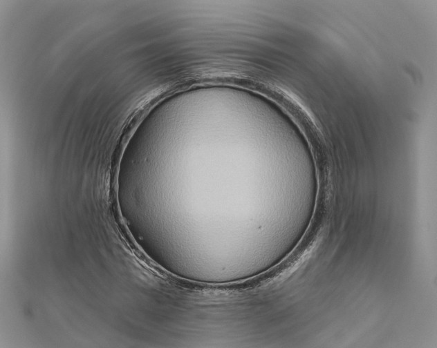 X0000111510777200908111308