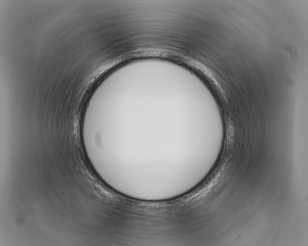 X0000111510778200908111308