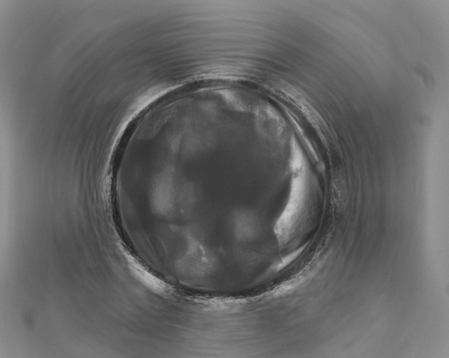 X0000111510779200908111308