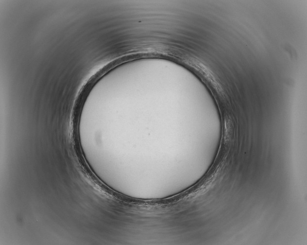 X0000111510780200908111308
