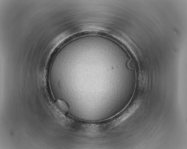 X0000111510783200908111308