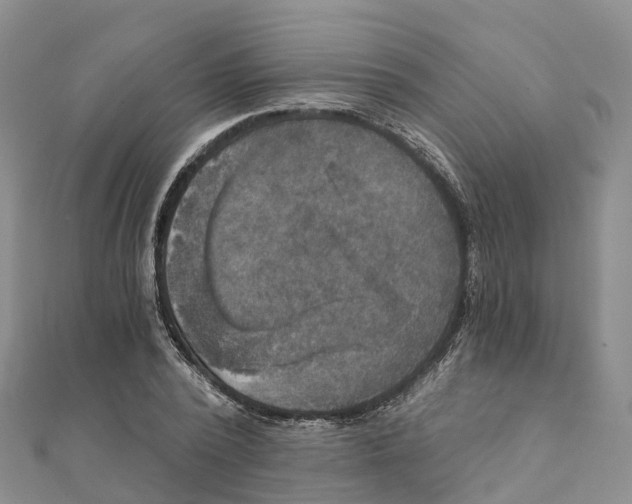 X0000111510784200908111308