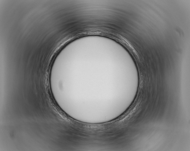 X0000111510786200908111308
