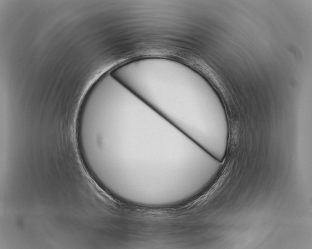 X0000111510787200908111308