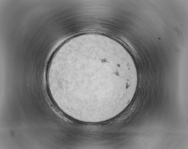 X0000111510788200908111308