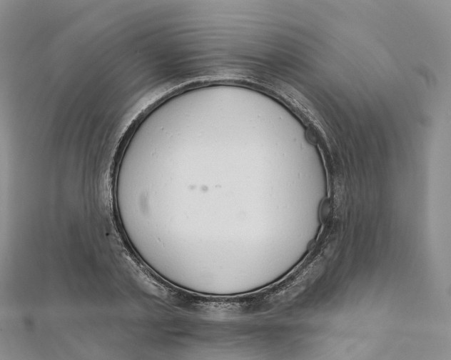X0000111510789200908111308