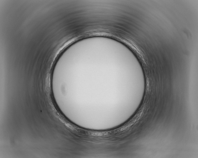 X0000111510790200908111308
