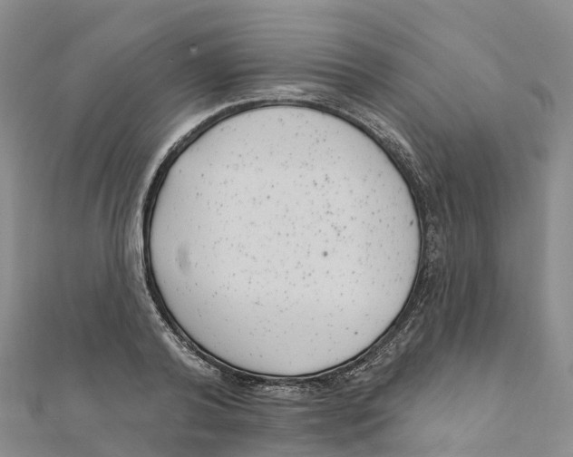 X0000111510792200908111308