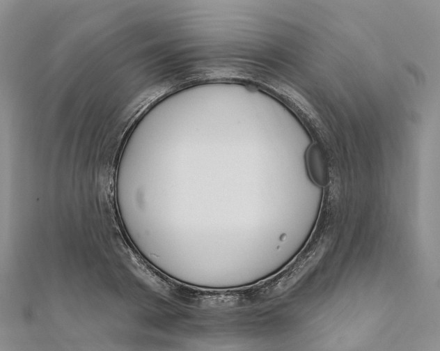 X0000111510793200908111308