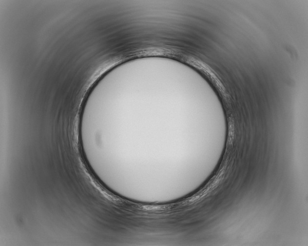 X0000111510794200908111308
