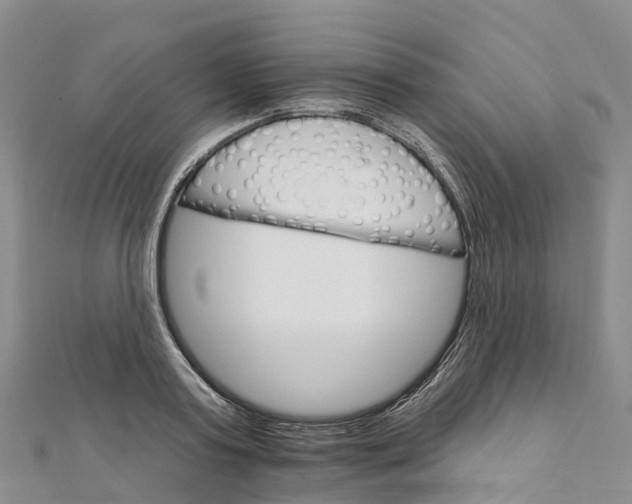 X0000111510795200908111308