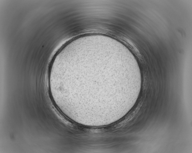 X0000111510796200908111308