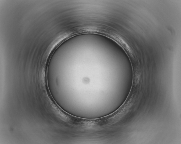 X0000111510798200908111308