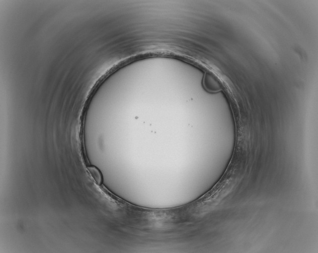X0000111510799200908111308