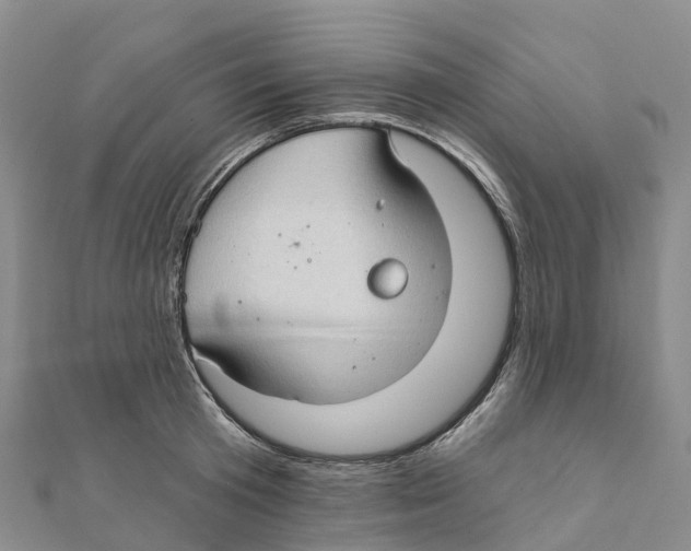 X0000111510801200908111308