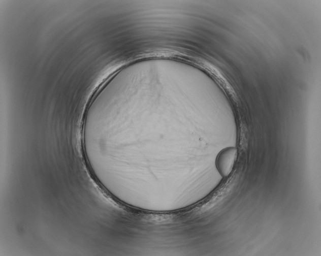 X0000111510802200908111308