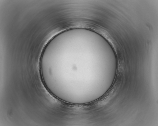 X0000111510803200908111308