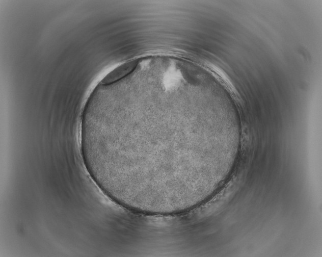 X0000111510804200908111308