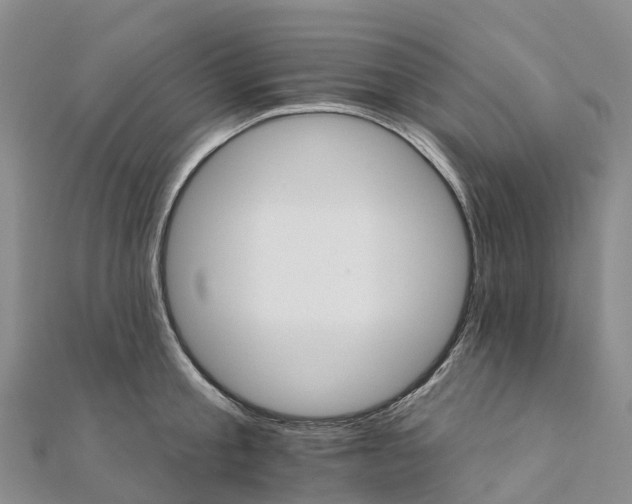 X0000111510805200908111308
