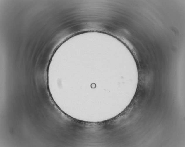 X0000111510807200908111308