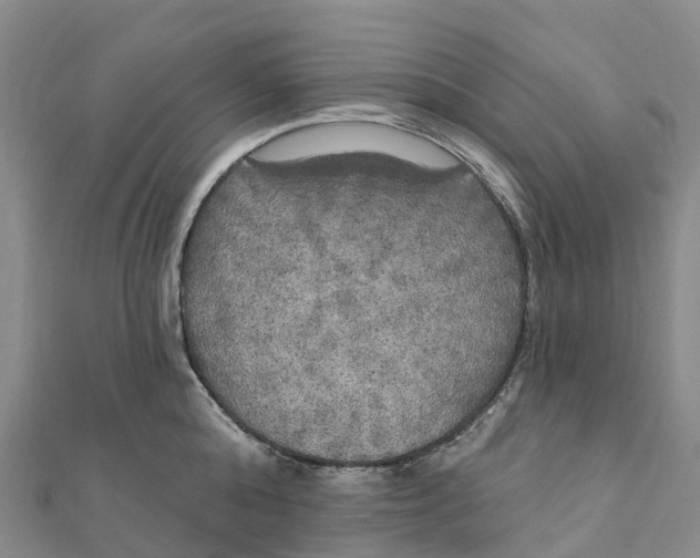 X0000111510808200908111308