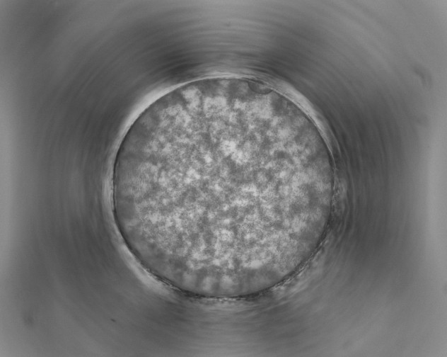 X0000111510811200908111307