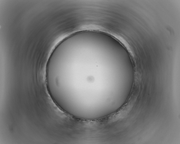 X0000111510815200908111307