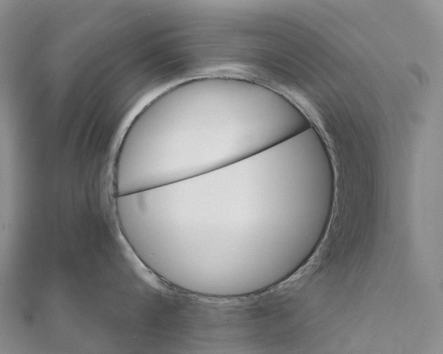 X0000111510816200908111307