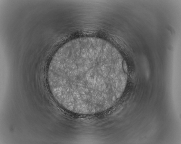 X0000111510817200908111307