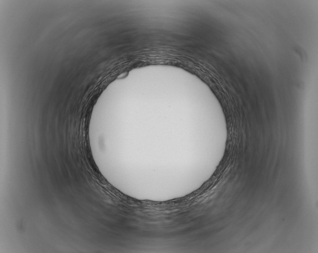 X0000111510818200908111307