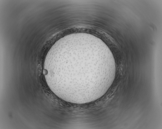 X0000111510821200908111307