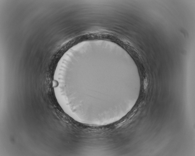 X0000111510822200908111307