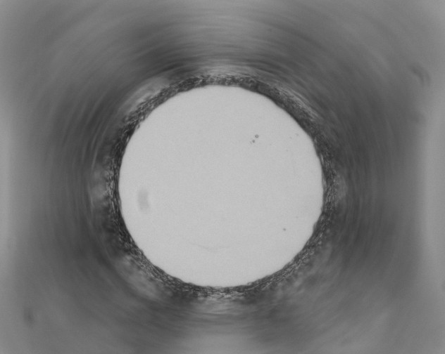 X0000111510824200908111307